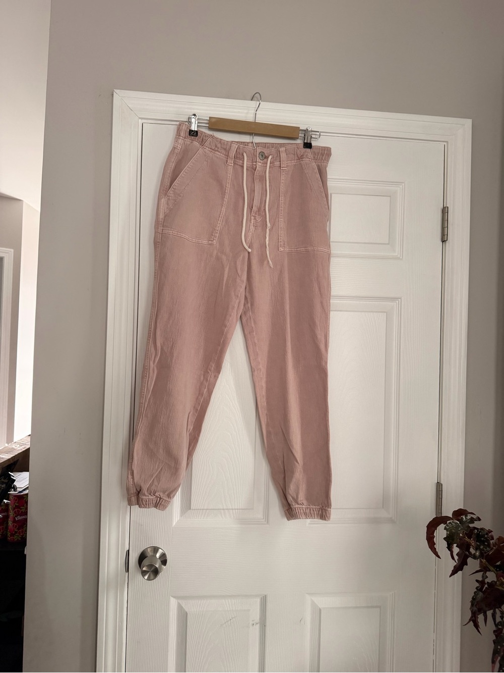 American Eagle Outfitters Blush Pink Drawstring Cropped Jogger Pants